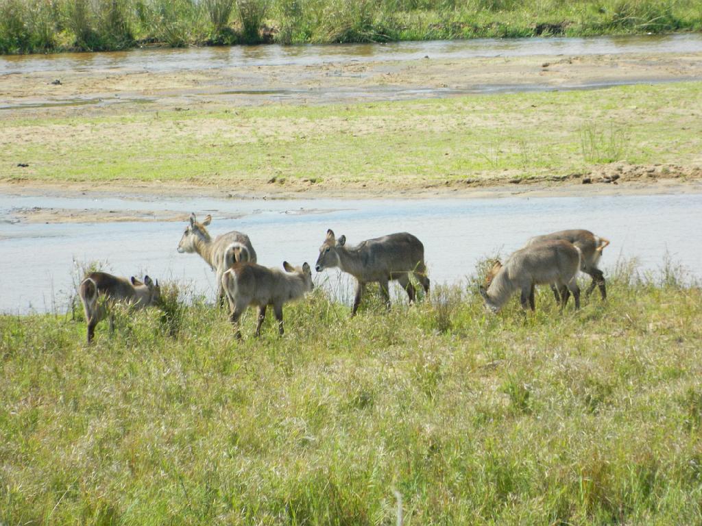 Suedafrika (159)